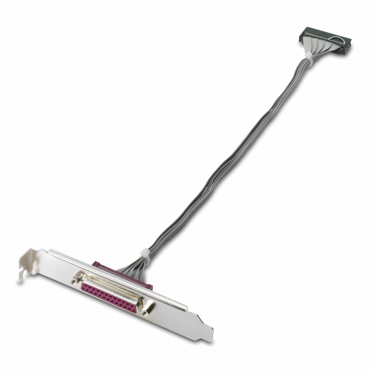 HP Parallel Port Adapter KD061AA