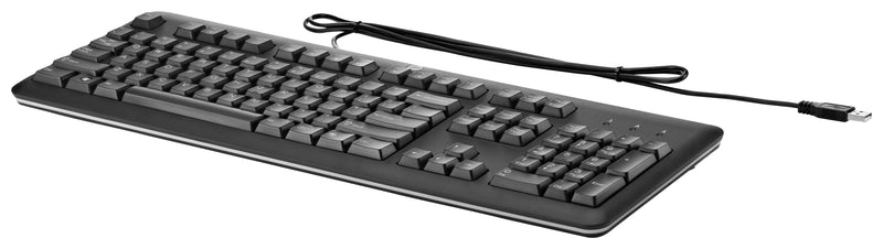 HP USB Keyboard for PC QY776AA