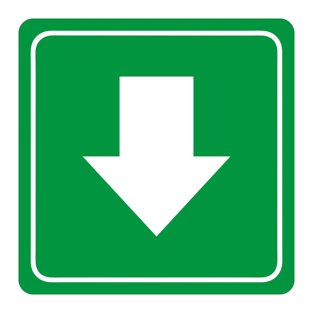 Parrot Green Arrow Symbolic Sign Printed on White ACP 150x150mm SN4115