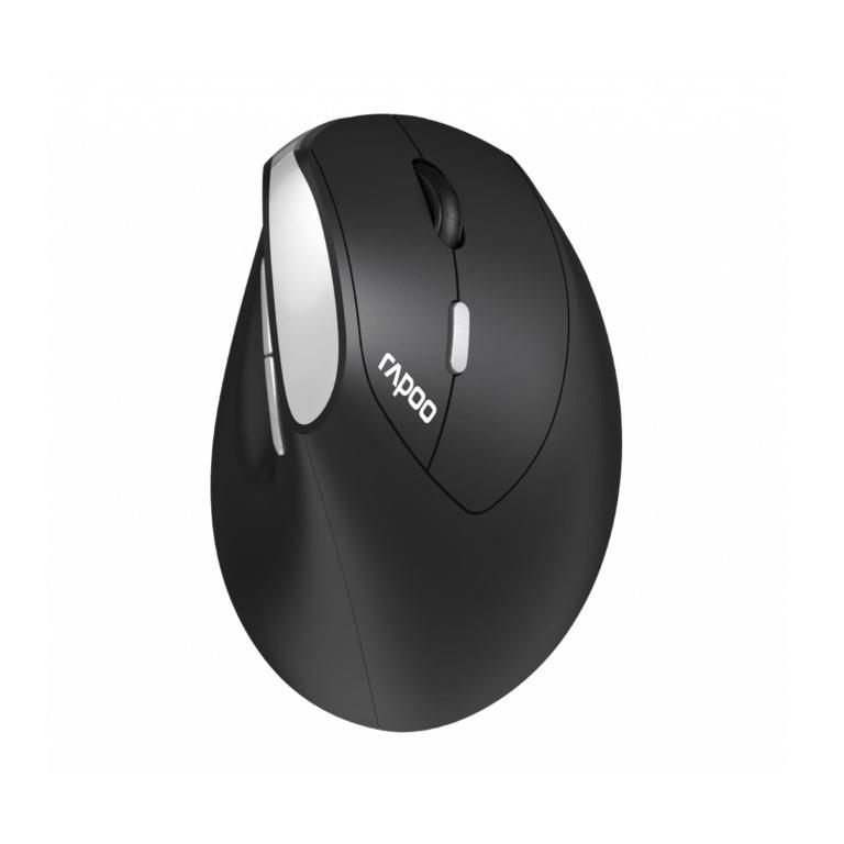 Rapoo EV250 Ergonomic Wireless Mouse 13531