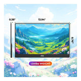 AOC 16T20 15.6-inch FHD 1920 x 1080p 16:9 60Hz 20ms LED IPS Portable Monitor