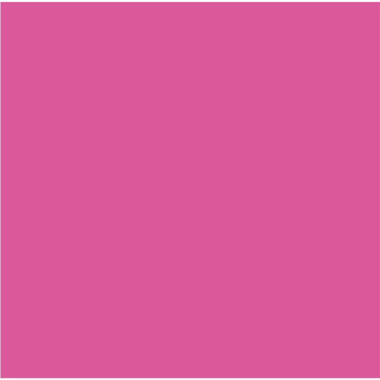 Cricut Infusible Ink Transfer Sheets 30x30cm 2-Sheets Party Pink 2007487