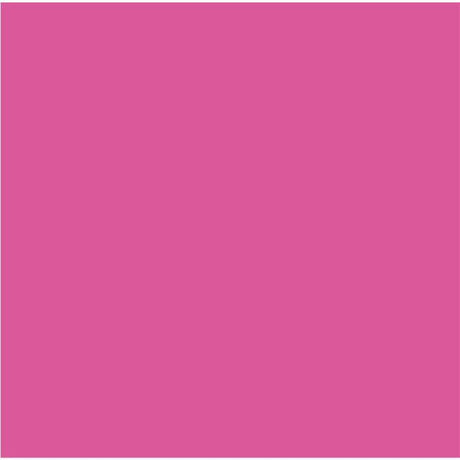 Cricut Infusible Ink Transfer Sheets 30x30cm 2-Sheets Party Pink 2007487