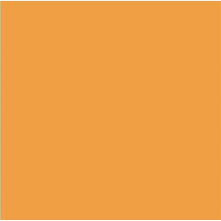 Cricut Infusible Ink Transfer Sheets 30x30cm 2-Sheets Tangerine 2007489