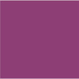 Cricut Infusible Ink Transfer Sheets 30x30cm 2-Sheets Wild Aster 2007490