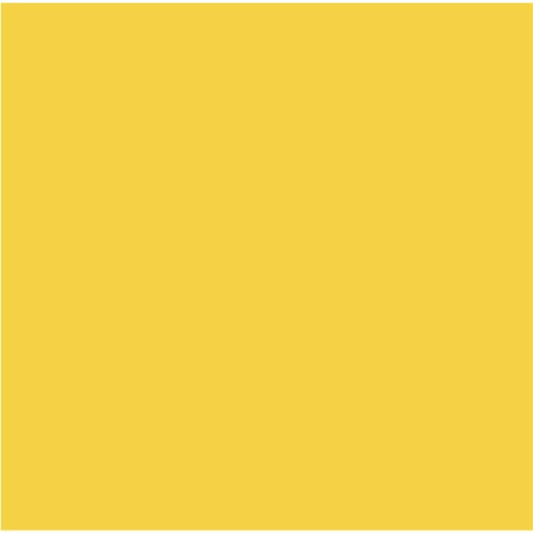 Cricut Infusible Ink Transfer Sheets 30x30cm 2-Sheets True Yellow 2007498