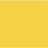 Cricut Infusible Ink Transfer Sheets 30x30cm 2-Sheets True Yellow 2007498