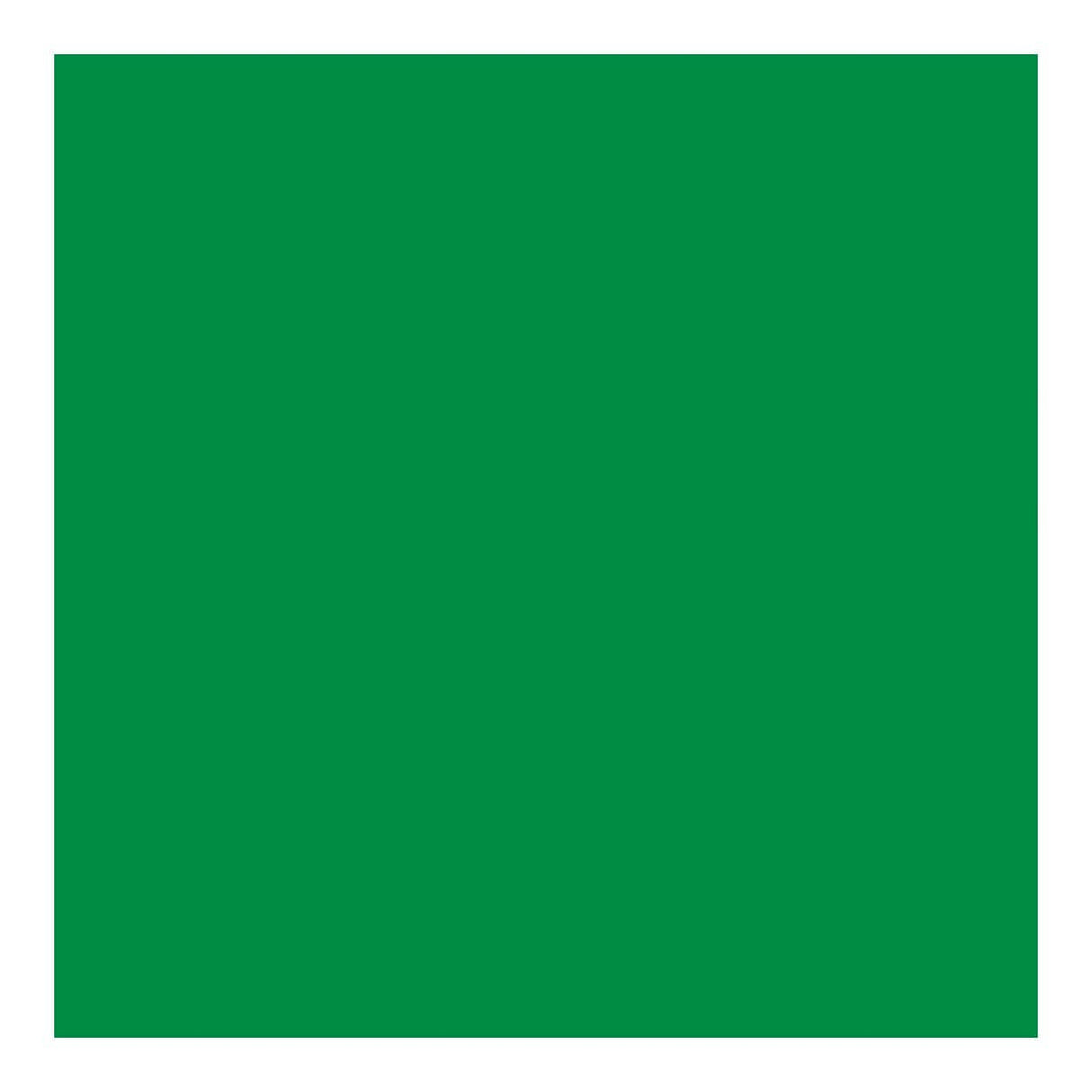 Cricut Premium Vinyl 30x120cm 1-sheet Green 2008444