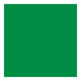 Cricut Premium Vinyl 30x120cm 1-sheet Green 2008444