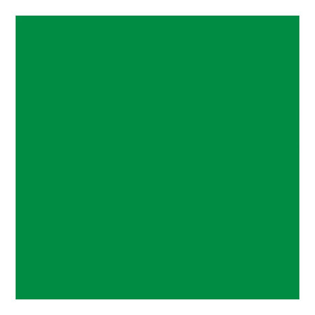 Cricut Premium Vinyl 30x120cm 1-sheet Green 2008444