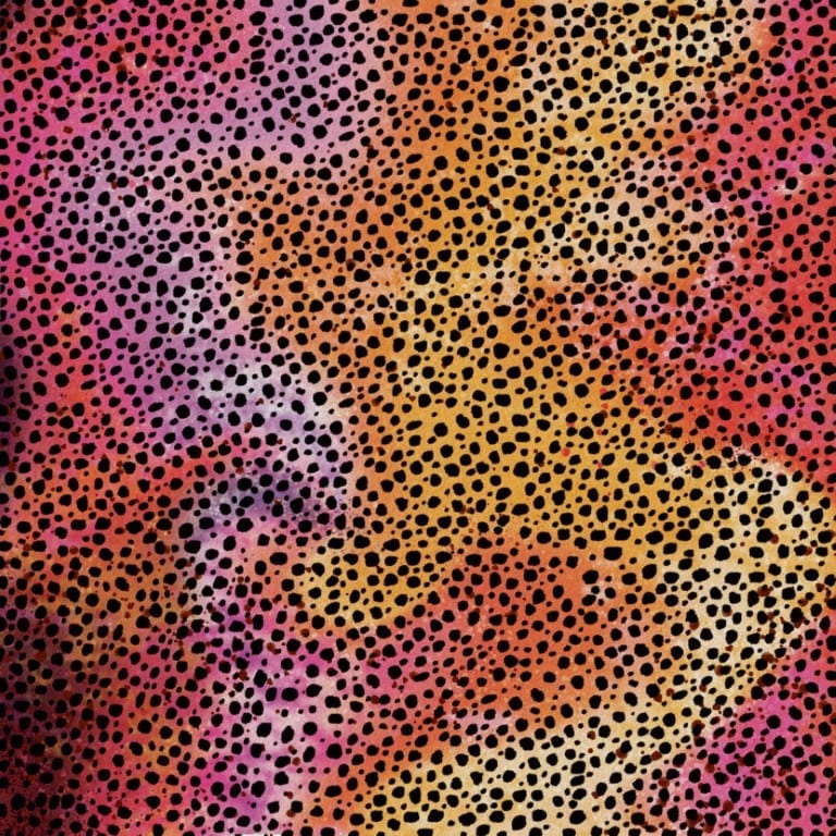 Cricut Infusible Ink Transfer Sheets 30x30cm 2-Sheets Rainbow Cheetah 2008769