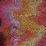 Cricut Infusible Ink Transfer Sheets 30x30cm 2-Sheets Rainbow Cheetah 2008769