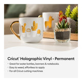 Cricut Holographic Permanent Vinyl 30.5x30.5cm 6-sheet Pink Sampler 2009601