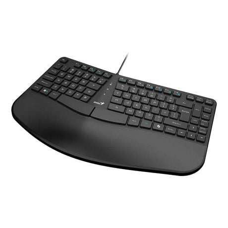 Genius KB-700 Ergonomic USB-A Keyboard with Palm Rest Black 31310053400
