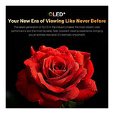 Skyworth 40E5500H 40-inch FHD Google Smart TV