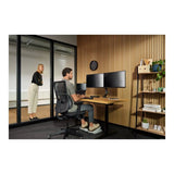 Kensington 22-inch 2-way Removable Monitor Privacy Screen Filter 626484