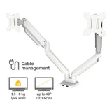 Fellowes Platinum Series 40-inch Dual Desk Monitor Arm White 8056301