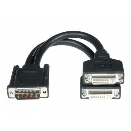 C2G 20cm LFH-59 Male to 2 DVI-I Female Cable 81227
