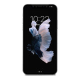 Moshi IonGlass Privacy Screen Protector for iPhone 11 Pro 99MO115003