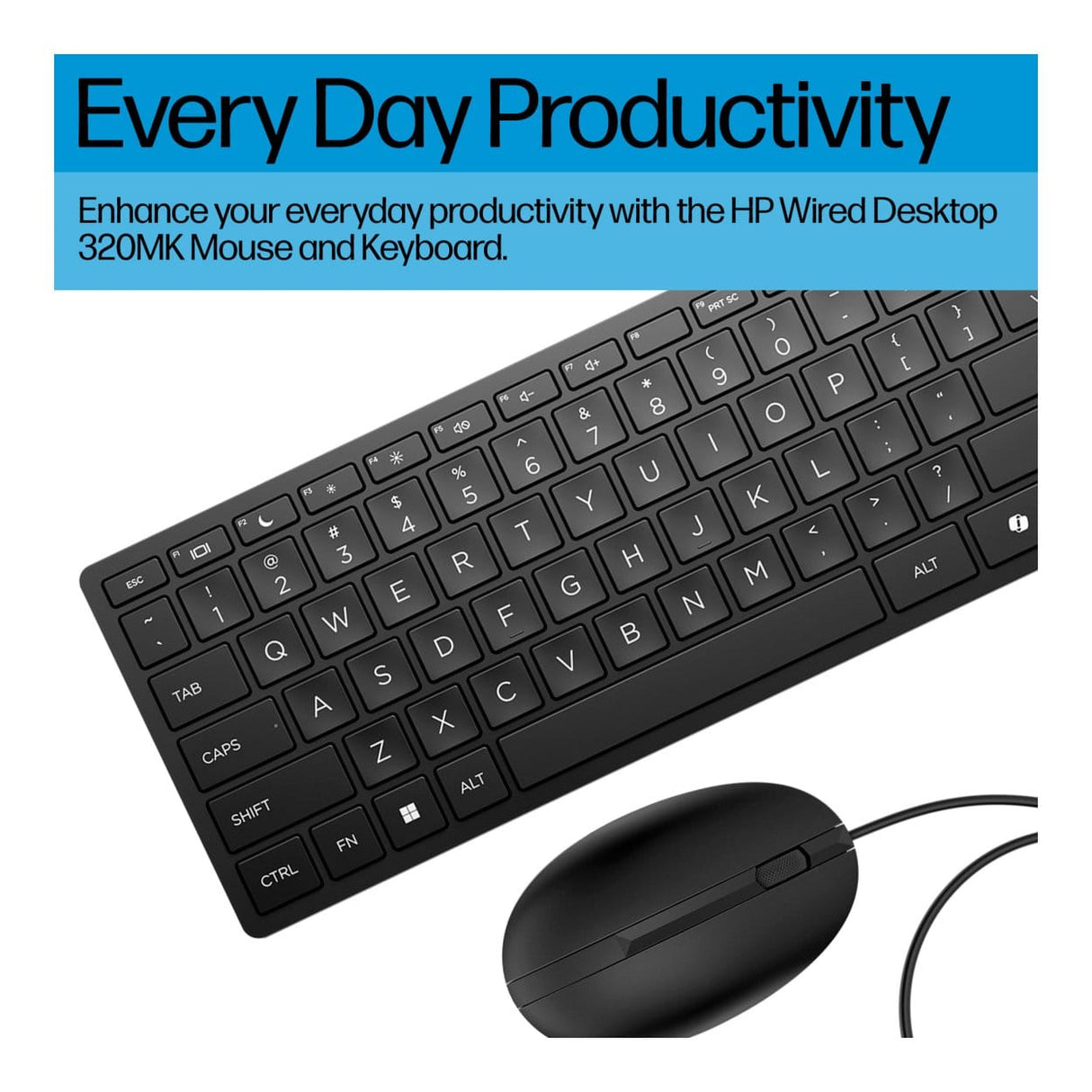 HP 320MK Wired Keyboard and Mouse Combo 9SR36AA