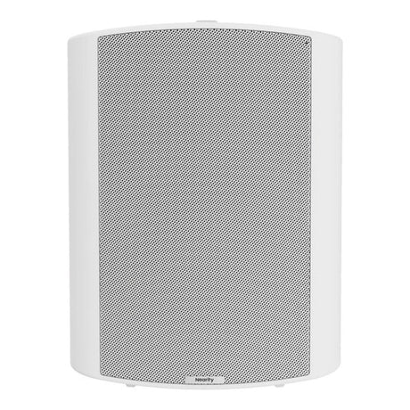 Nearity ASP110 15W Passive Wallmount Speaker AW-ASP110