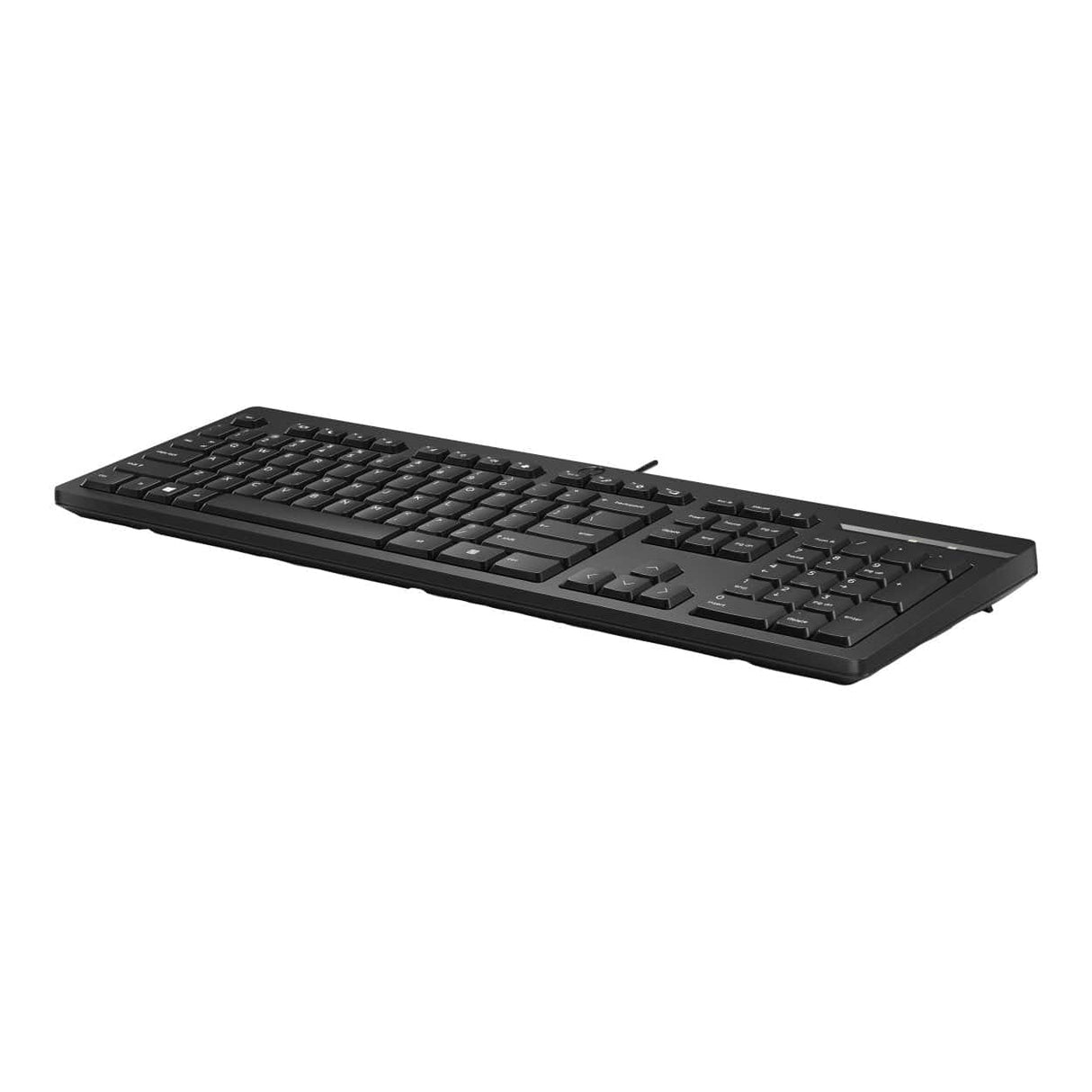 HP 125 Wired Keyboard AY2Y7AA