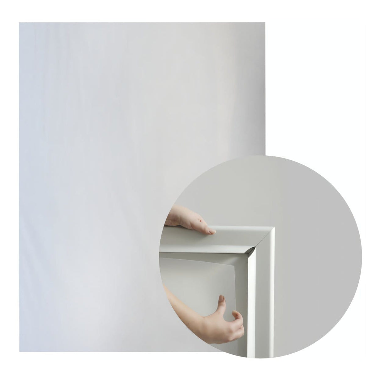 Parrot Poster Frame Clear Media Cover 1.2mm A4 BG0004
