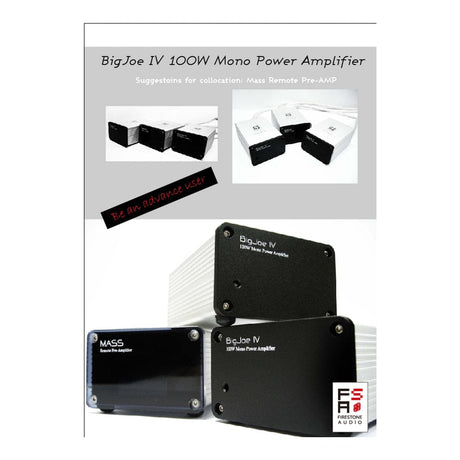 FSA 2x Mono Class-D 44W Power Amplifier BIGJOE4