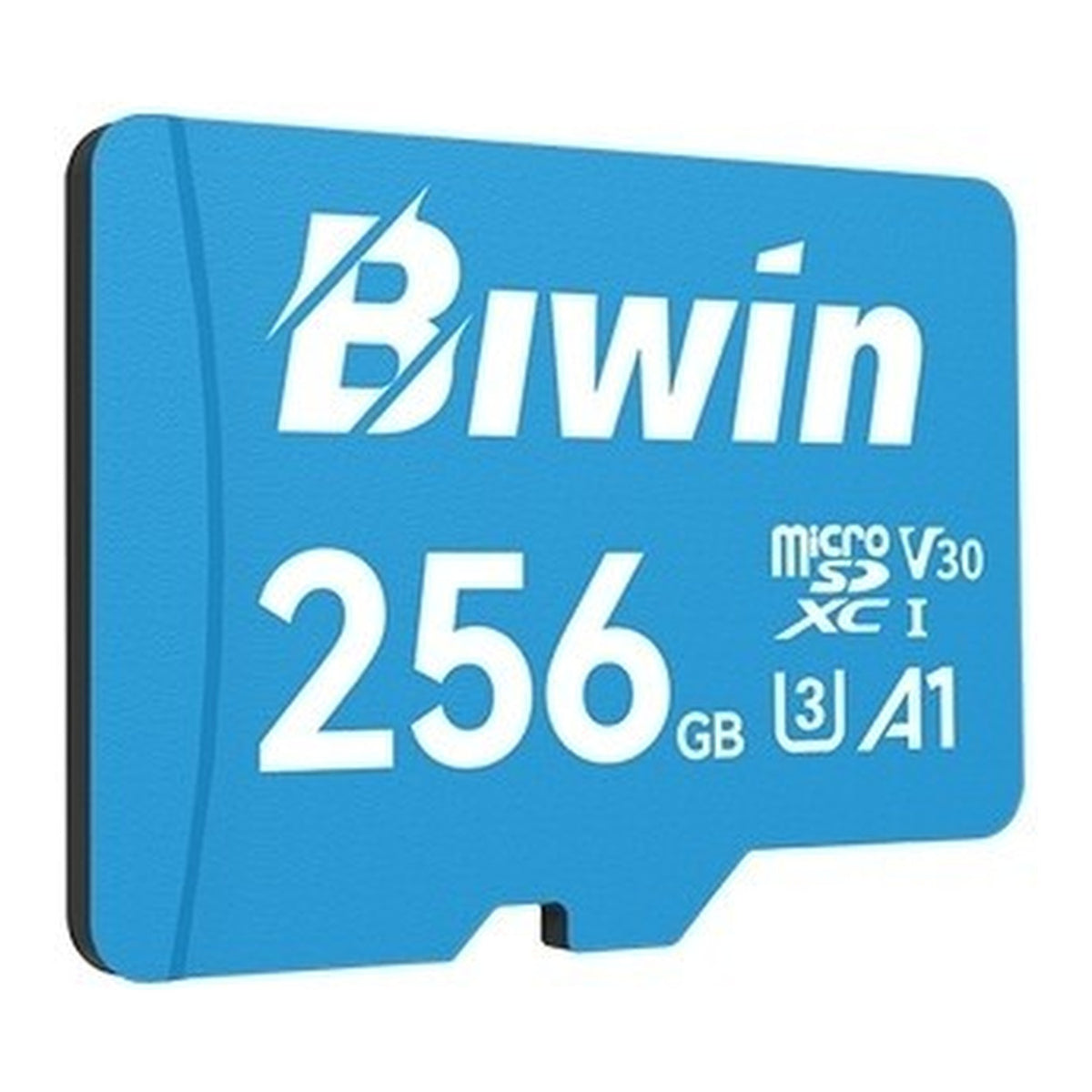 Biwin MS100 256GB UHS-I U3 V30 A1 microSDXC Memory Card BMMS100256G-RGX