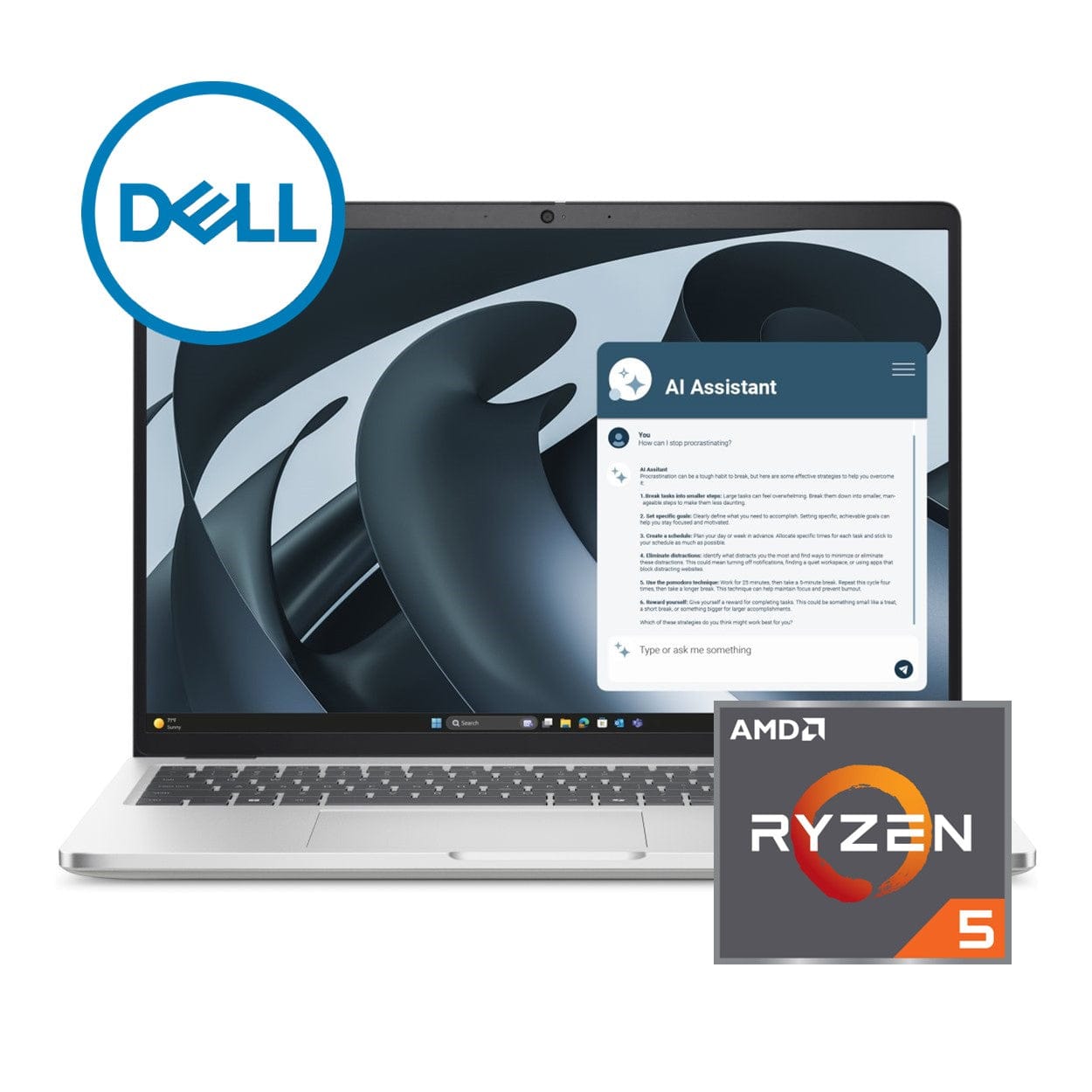 Dell Pro 16 Plus 16-inch FHD+ AI Laptop - AMD Ryzen 5 PRO 230 1TB