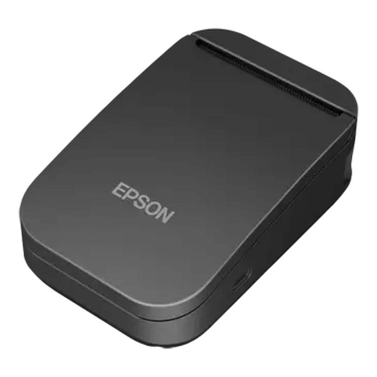 Epson TM-P20II 203 DPI Thermal Mobile Receipt Printer C31CJ99101