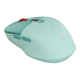 Canyon MW-26 LCD Wireless Silent Mouse Green CNS-CMSW26GR