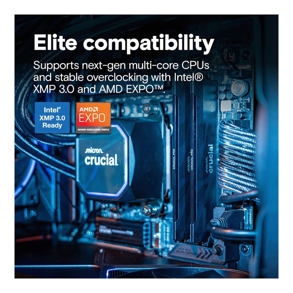 Crucial Pro CP16G64C32U5B Memory Module 16GB 1x16GB DDR5 6400MHz