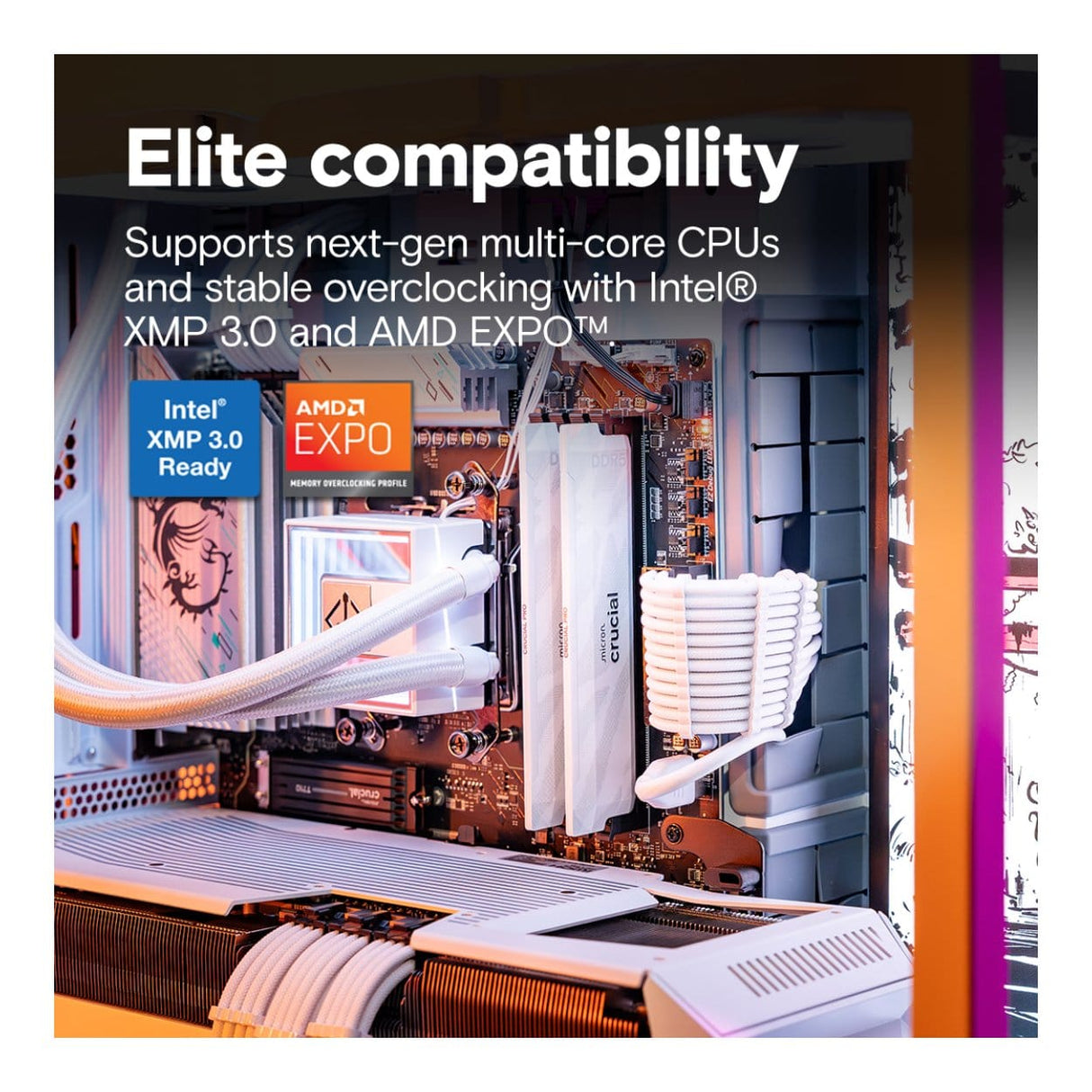 Crucial Pro CP2K16G64C32U5W Memory Module 32GB DDR5 6400MHz