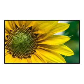 Clevertouch CM Pro Extra 32-inch Commercial Display Panel CTL-32DS924KV2