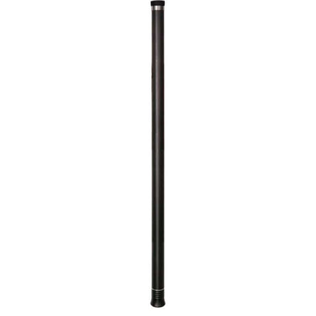 Insta360 3m Extended Selfie Stick DINEESS/A