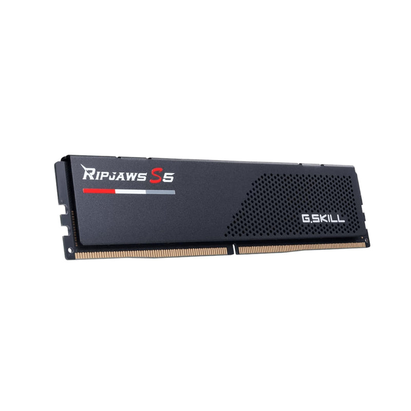 G.Skill Ripjaws S5 16GB DDR5 6000MHz Memory Module F5-6000J3636F16GX1-RS5K