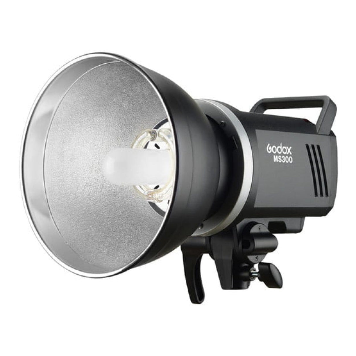 Godox MS300(V) 3 Monolight Studio Kit