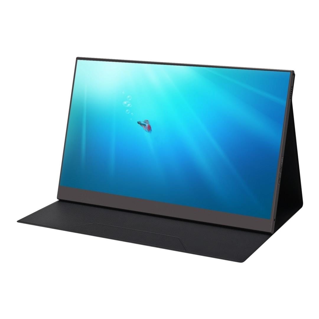 Mecer GH156P 15.6-inch 1920 x 1080p FHD 16:9 60Hz 8ms LED IPS USB Port ...