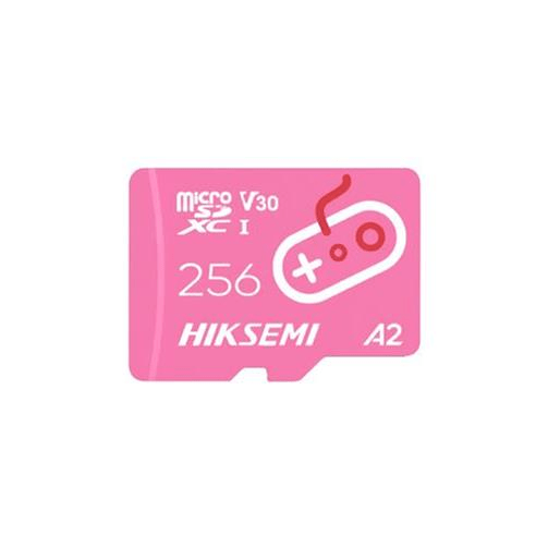 Hiksemi CITY FUN 256GB Class 10 microSDXC Memory Card HS-TF-G2-256G