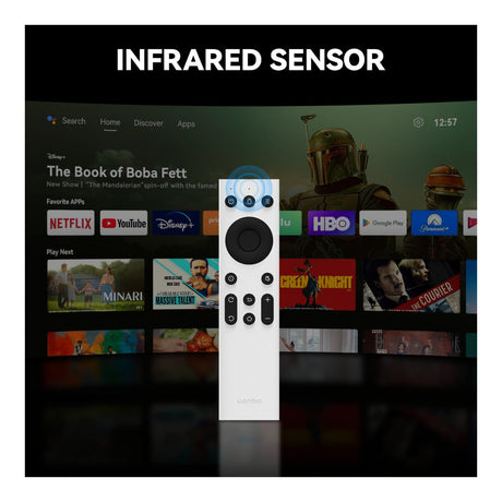 Wanbo IR Remote Control IR-REMOTE