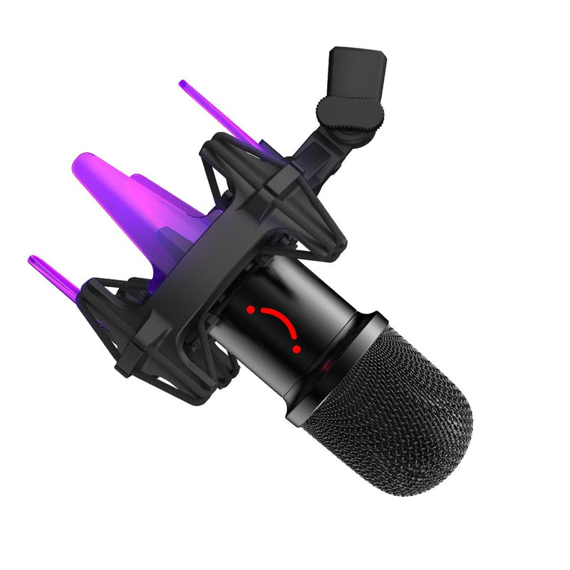 Fifine USB Dynamic Microphone with RGB Arm Desk Mount Kit Black K651