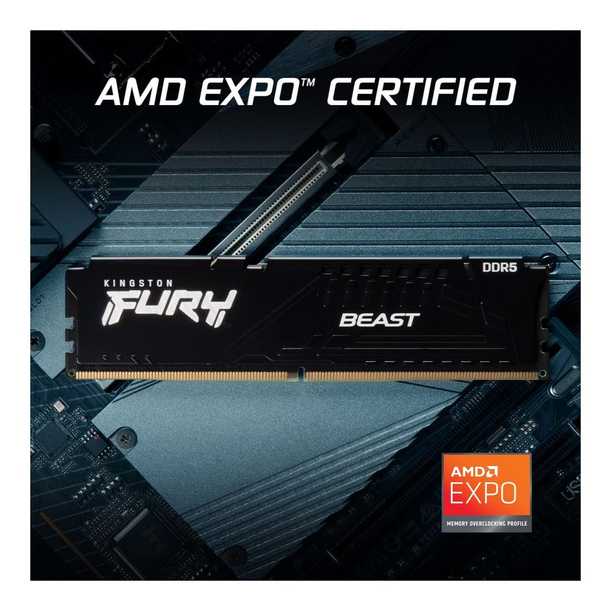Kingston FURY Beast KF560C30BBEK2-64 Memory Module 64GB DDR5 6000MHz