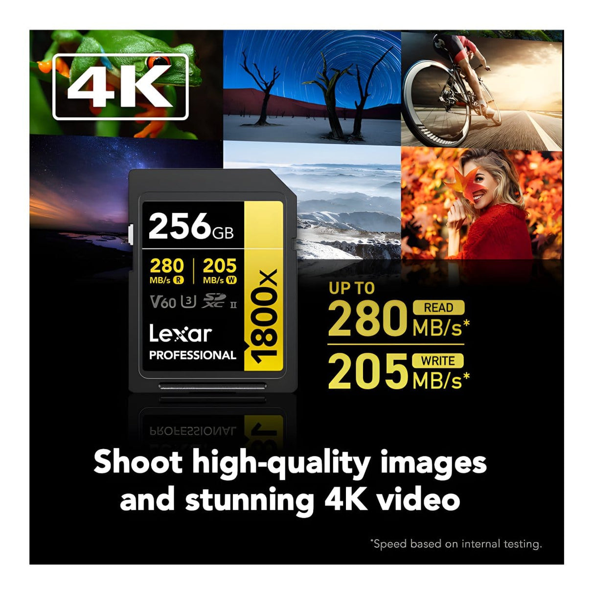 Lexar LSD1800256G-BNNNG 256GB SDXC Class 10 Memory Card