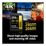 Lexar LSD1800256G-BNNNG 256GB SDXC Class 10 Memory Card