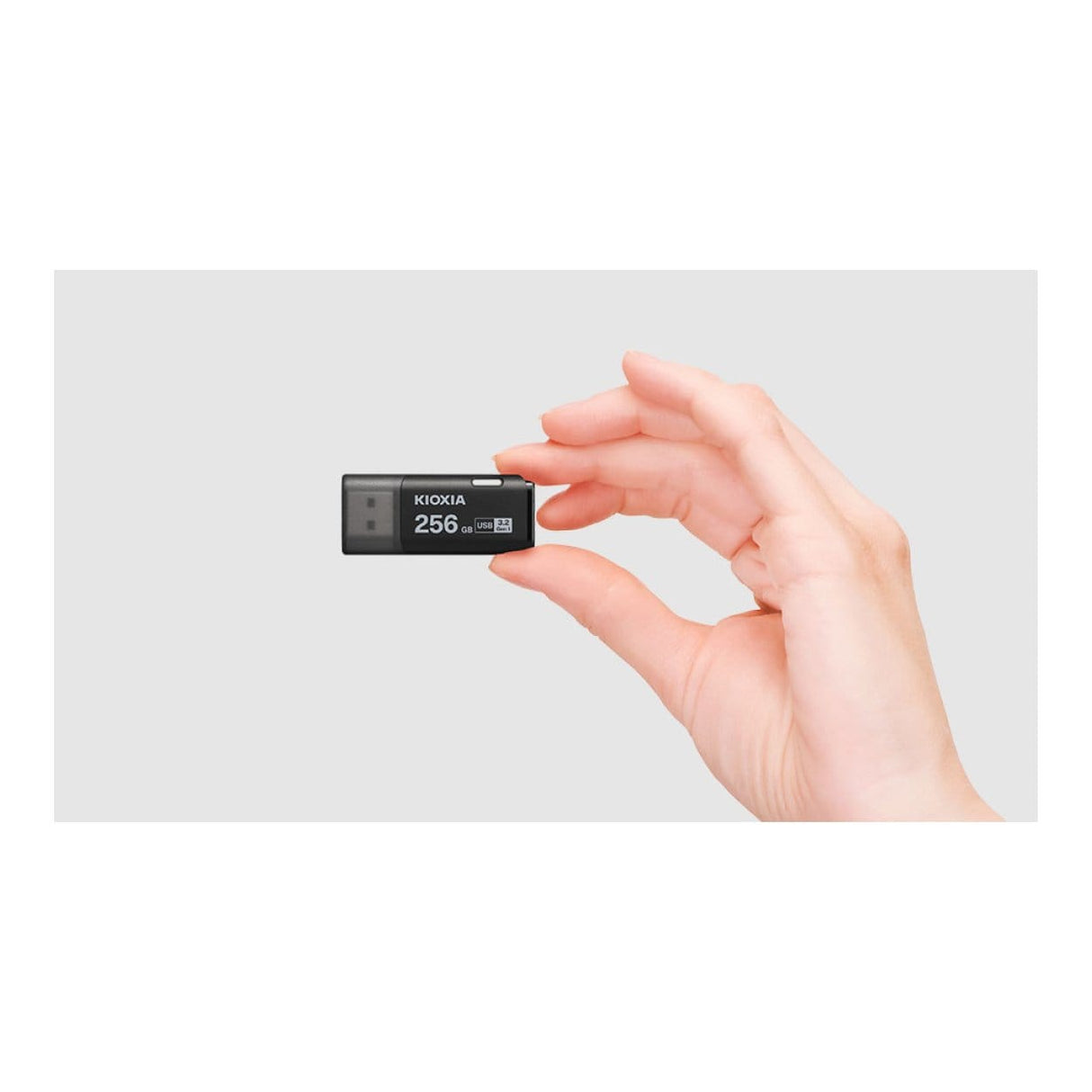 Kioxia TransMemory U301 256GB USB Type-A Black USB Flash Drive LU301K256GG4
