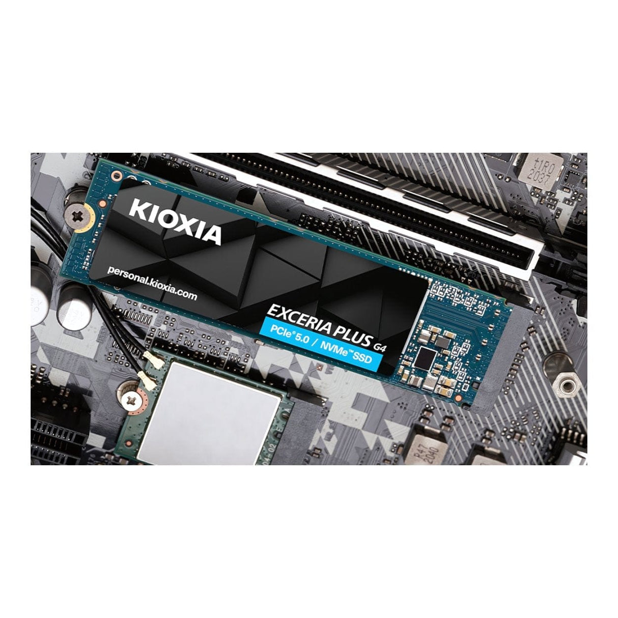 Kioxia LVD10Z002TG8 2TB M.2 PCIe 5.0 NVMe BiCS TLC Internal SSD LVD10Z002TG8
