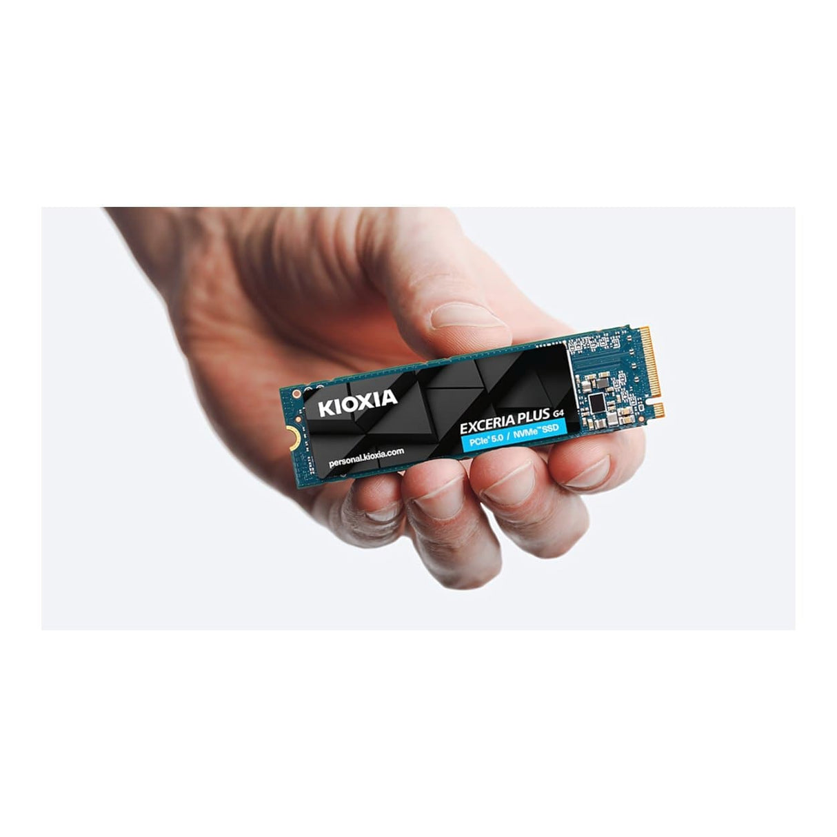Kioxia LVD10Z002TG8 2TB M.2 PCIe 5.0 NVMe BiCS TLC Internal SSD LVD10Z002TG8