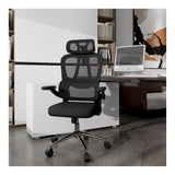 LinkQnet Flexispot OC19 Ergonomic Office Chair