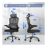 LinkQnet Flexispot OC19 Ergonomic Office Chair
